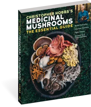 "Christopher Hobbs's Medicinal Mushrooms: The Essential Guide" by Christopher Hobbs